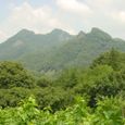 Dsc02417